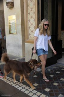 Amanda Seyfried feet photo thumbnail