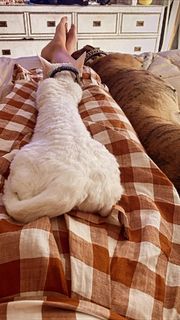 Rumer Willis feet photo thumbnail