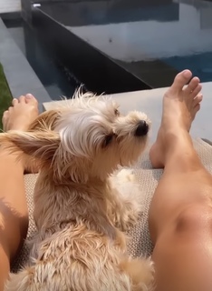 Hailey Bieber feet photo thumbnail