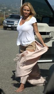 Pamela Anderson feet photo thumbnail