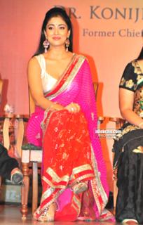 Shriya Saran feet photo thumbnail