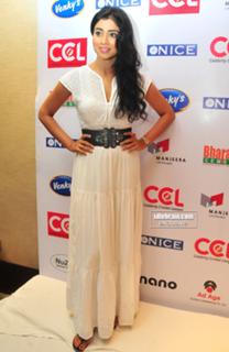 Shriya Saran feet photo thumbnail