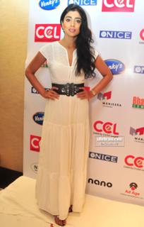 Shriya Saran feet photo thumbnail