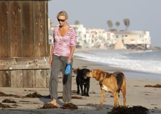 Charlize Theron feet photo thumbnail
