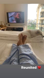 Malaika Arora feet photo thumbnail