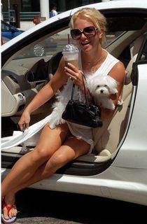 Britney Spears feet photo thumbnail