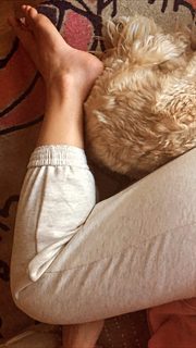 Alice Eve feet photo thumbnail