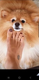 Flávia Alessandra feet photo thumbnail