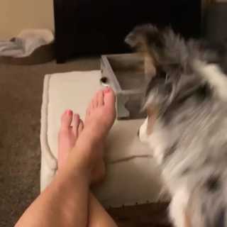 Holly Holm feet photo thumbnail