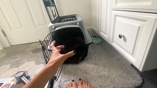 Gabbie Hanna feet photo thumbnail