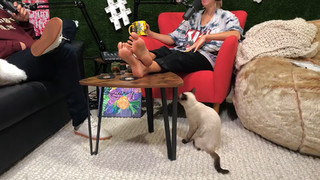 Gabbie Hanna feet photo thumbnail