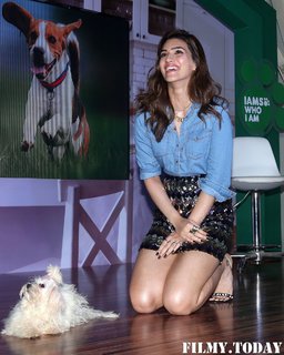 Kriti Sanon feet photo thumbnail