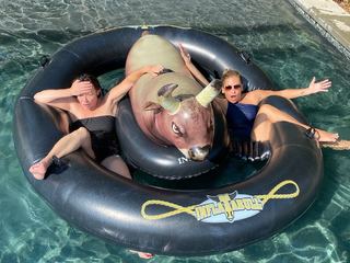 Sarah Michelle Gellar feet photo thumbnail