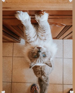 Valentina Vignali feet photo thumbnail