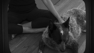 Adriene Mishler feet photo thumbnail