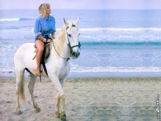 Samantha Fox feet photo 3