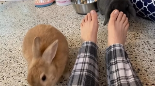 Kaley Cuoco feet photo thumbnail