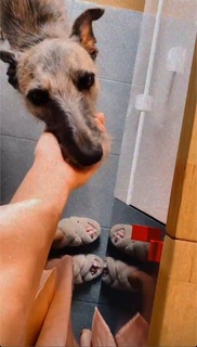 Marta Wierzbicka feet photo thumbnail