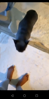 Taraji P. Henson feet photo thumbnail