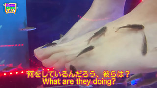 Kanako Urai feet photo thumbnail