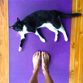 Jamie Chung feet photo thumbnail