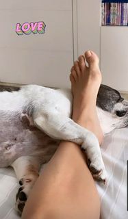 Flávia Alessandra feet photo thumbnail