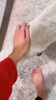 Gabbie Hanna feet photo thumbnail