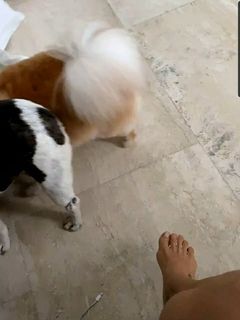 Flávia Alessandra feet photo thumbnail
