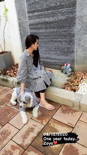 Trisha Krishnan feet photo thumbnail