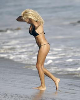 Pamela Anderson feet photo thumbnail