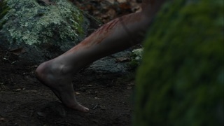 AnnaSophia Robb feet photo thumbnail