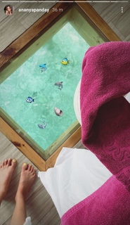 Ananya Pandey feet photo thumbnail