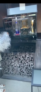 Taraji P. Henson feet photo thumbnail