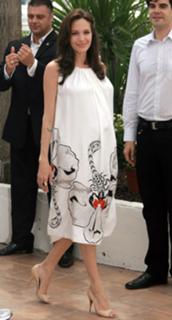 Angelina Jolie feet photo thumbnail