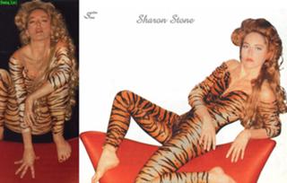 Sharon Stone feet photo thumbnail