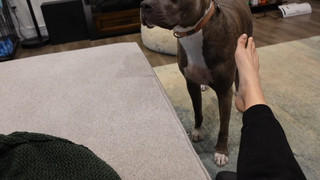 Rachel Ballinger feet photo thumbnail