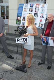 Pamela Anderson feet photo thumbnail