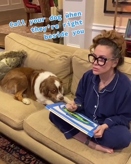 Alyssa Milano feet photo thumbnail