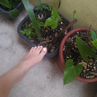 Isa Pes feet photo thumbnail