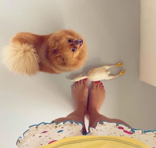 Grazi Massafera feet photo thumbnail