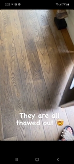 Taraji P. Henson feet photo thumbnail