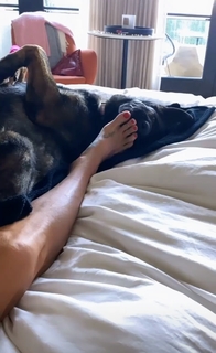 Brooke Burke feet photo thumbnail