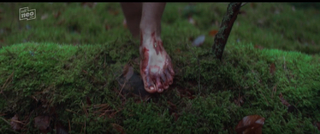 Aylin Tezel feet photo 4