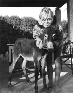 Brigitte Bardot feet photo thumbnail