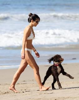 Jordana Brewster feet photo thumbnail
