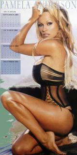 Pamela Anderson feet photo thumbnail