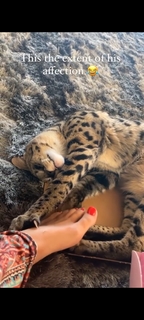 Lauren R. Wood feet photo thumbnail