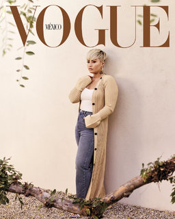 Demi Lovato feet photo thumbnail