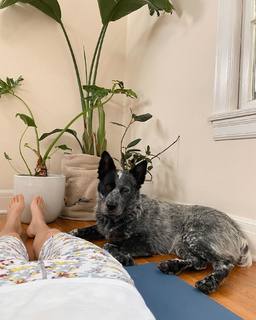 Adriene Mishler feet photo thumbnail