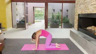 Denise Austin feet photo thumbnail